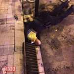 polcat1