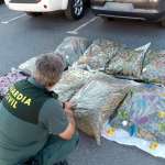 Torrevieja resident arrested on drugs run