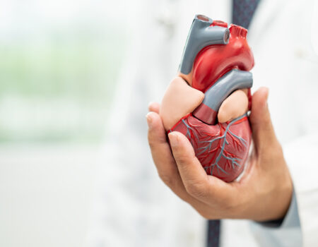 Quirónsalud Torrevieja strengthens its Cardiology Service