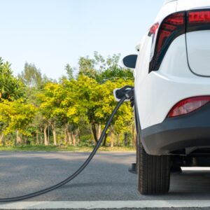 Sueña Torrevieja has called on the Ayuntamiento to expand the local electric vehicle charging network and fix a long-standing fault at the sports palace charger.